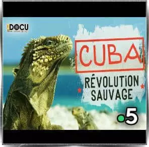 Cuba, révolution sauvage