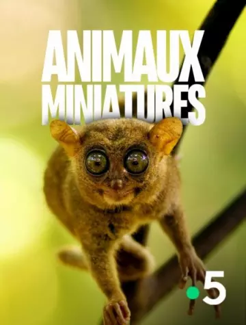 ANIMAUX MINIATURES