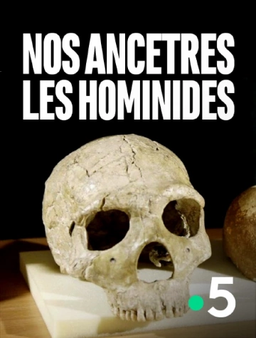 Nos ancetres les hominides