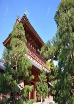 JAPON - LE TEMPLE DU DAITOKU-JI