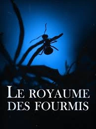 Le royaume des fourmis