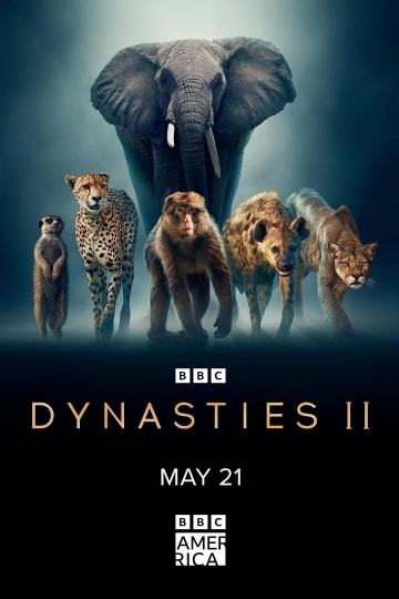 DYNASTIES ANIMALES - SURICATES