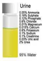 Les superpouvoirs de l’urine