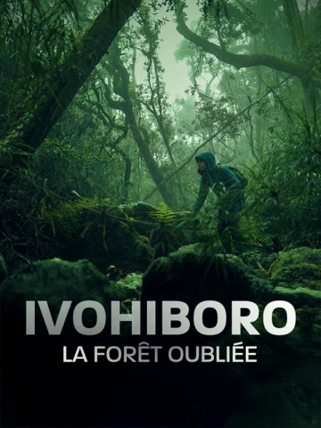 IVOHIBORO, LA FORÊT OUBLIÉE