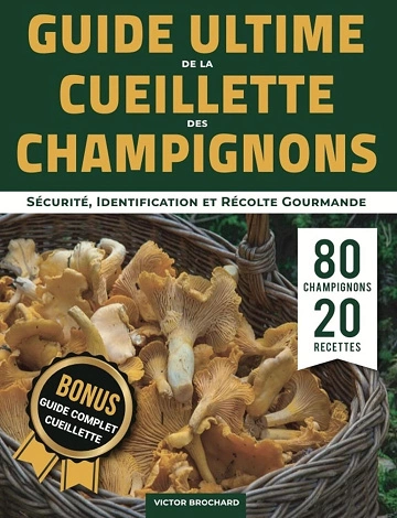 Guide Ultime de la Cueillette des Champignons