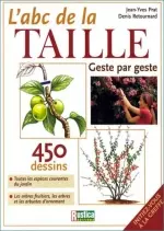 L'ABC de la taille geste par geste