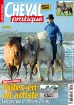 Cheval Pratique - Août 2017